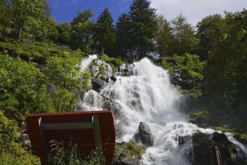 Waldklang Titisee Zewnętrze zdjęcie