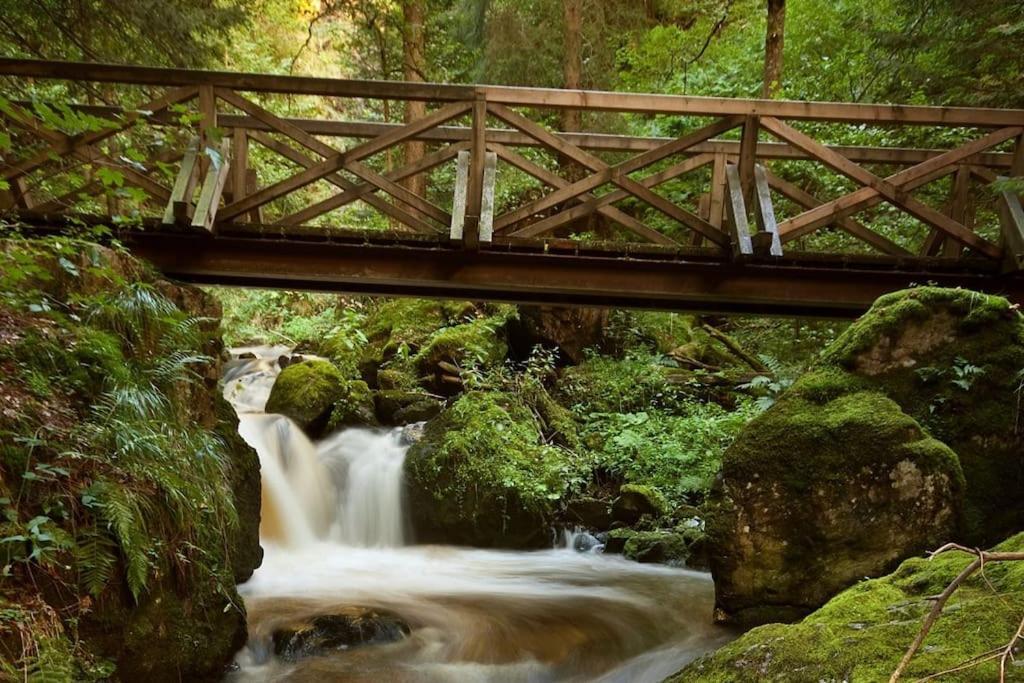 Waldklang Titisee Zewnętrze zdjęcie